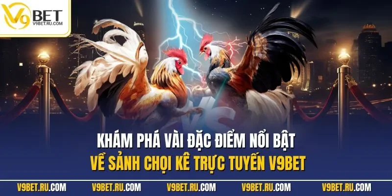 Khám phá vài đặc điểm nổi bật về sảnh chọi kê trực tuyến V9BET